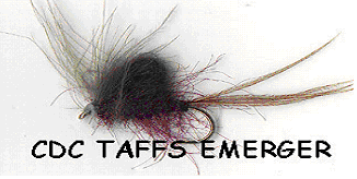 Taff's Emergers