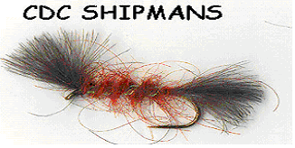 Shipmans